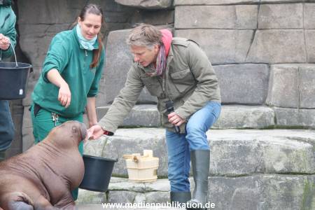 Hagenbeck Pilawa 13102015 039