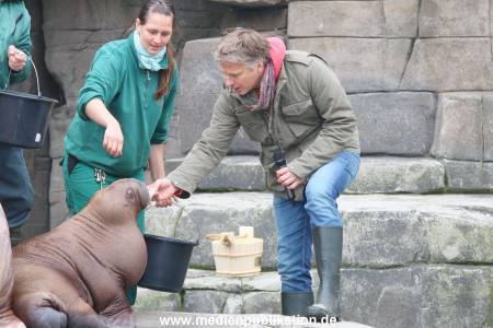 Hagenbeck Pilawa 13102015 040
