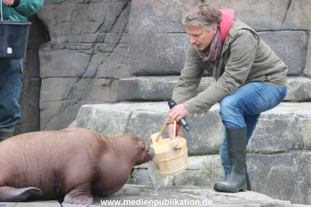 Hagenbeck Pilawa 13102015 041