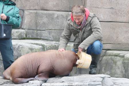 Hagenbeck Pilawa 13102015 049