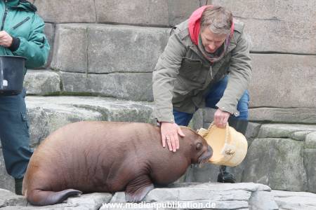 Hagenbeck Pilawa 13102015 051