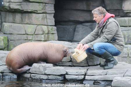 Hagenbeck Pilawa 13102015 053