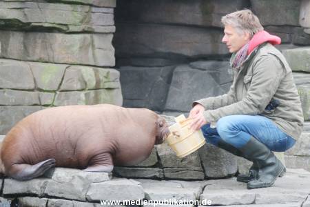 Hagenbeck Pilawa 13102015 054