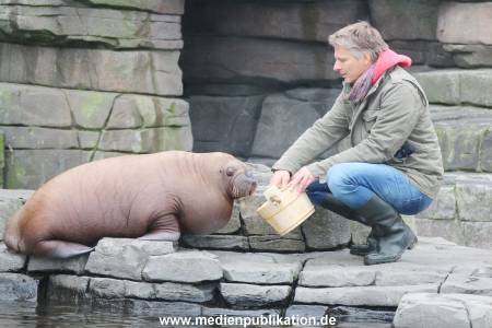 Hagenbeck Pilawa 13102015 055