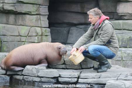 Hagenbeck Pilawa 13102015 056