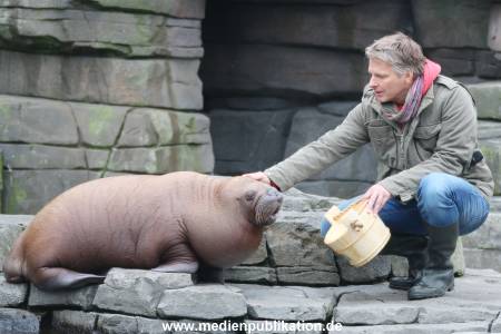 Hagenbeck Pilawa 13102015 057