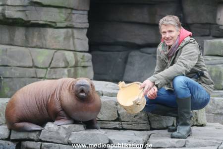 Hagenbeck Pilawa 13102015 067