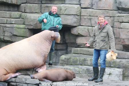 Hagenbeck Pilawa 13102015 071