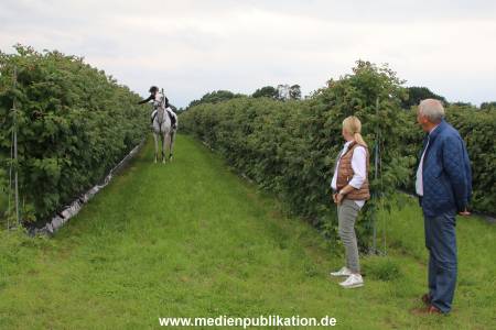 Glantz Himbeeren 2706201 055