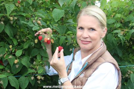 Glantz Himbeeren 2706201 105