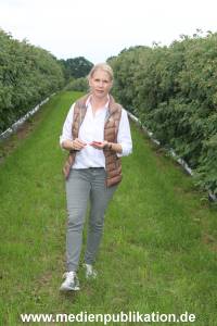 Glantz Himbeeren 2706201 106