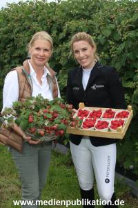 Glantz Himbeeren 2706201 122