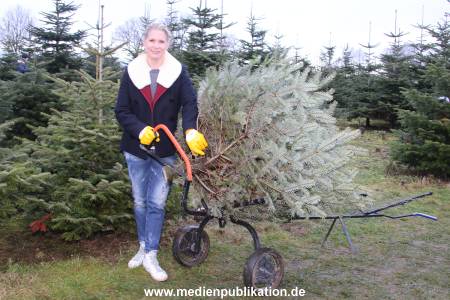Glantz Promi Baumsaegen 11122016 044