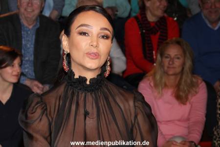 Lanz Sendung1 27022019 015
