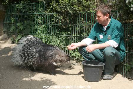 Hagenbeck Riewa 15052008 020