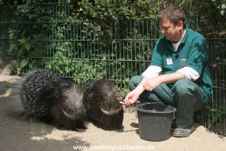 Hagenbeck Riewa 15052008 023