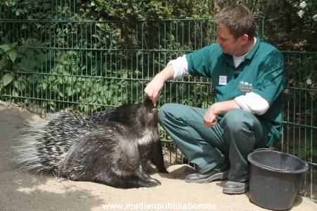 Hagenbeck Riewa 15052008 035