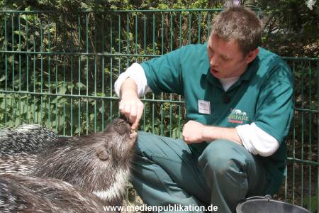 Hagenbeck Riewa 15052008 041