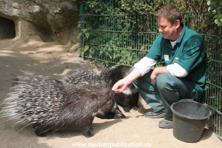 Hagenbeck Riewa 15052008 064