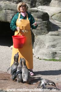 Hagenbeck Roos 14052008 005