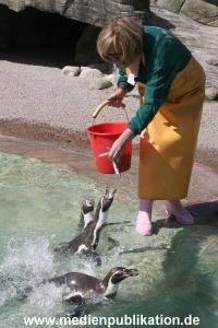 Hagenbeck Roos 14052008 008