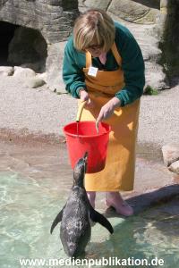 Hagenbeck Roos 14052008 016