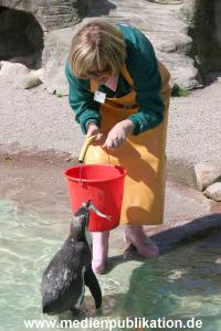 Hagenbeck Roos 14052008 028