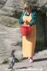 Hagenbeck Roos 14052008 029