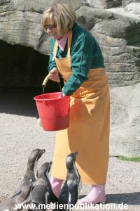 Hagenbeck Roos 14052008 033