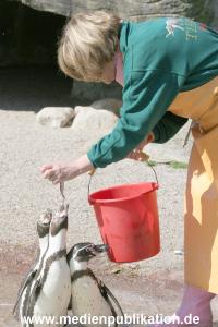 Hagenbeck Roos 14052008 038