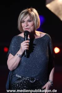 Schlager des Jahres 20112015 311