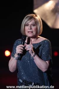 Schlager des Jahres 20112015 313