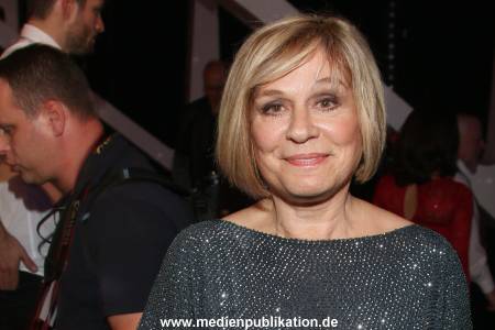 Schlager des Jahres 20112015 346
