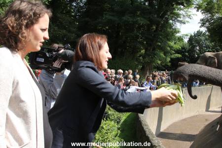 Hagenbeck 13072016 030