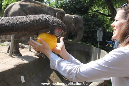 Hagenbeck 13072016 033