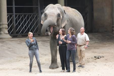 Hagenbeck Taufe 14092015 0019