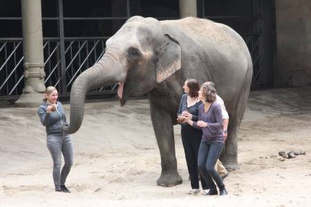 Hagenbeck Taufe 14092015 0021