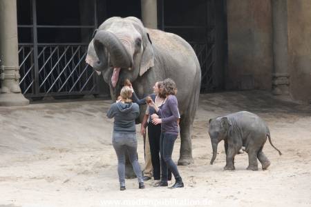 Hagenbeck Taufe 14092015 0023