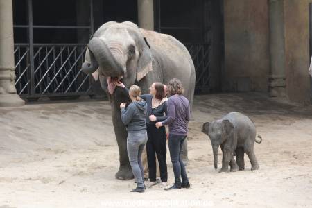 Hagenbeck Taufe 14092015 0024