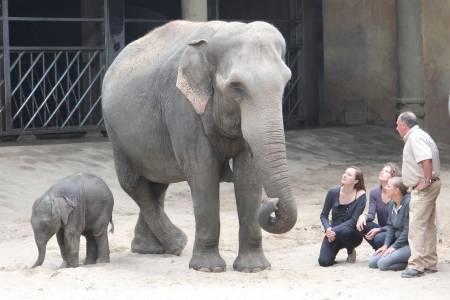 Hagenbeck Taufe 14092015 0039
