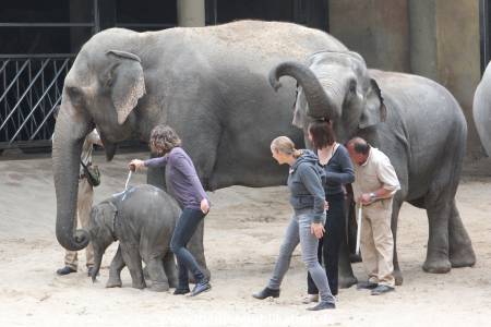 Hagenbeck Taufe 14092015 0044
