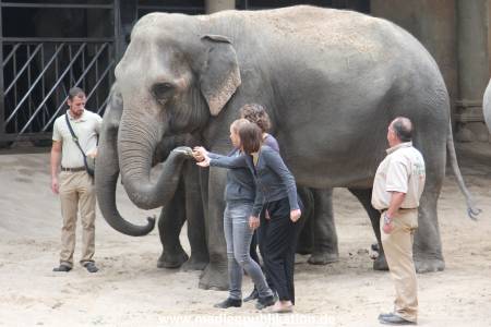 Hagenbeck Taufe 14092015 0047