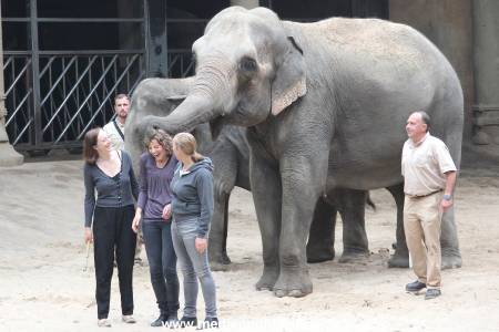 Hagenbeck Taufe 14092015 0065