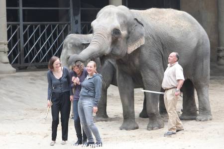 Hagenbeck Taufe 14092015 0070
