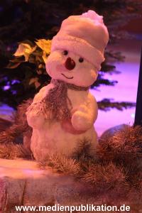 Silbereisen Adventsfest 30112013 034