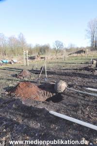 AtzeSchroeder Baum 05022020 024