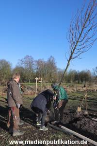 AtzeSchroeder Baum 05022020 025