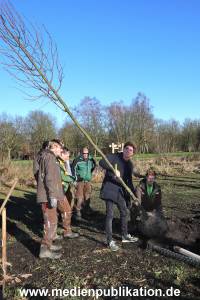 AtzeSchroeder Baum 05022020 027