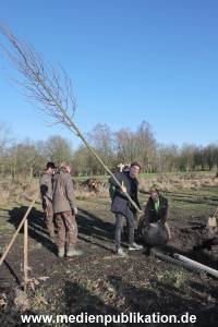AtzeSchroeder Baum 05022020 031