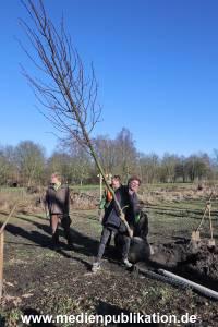 AtzeSchroeder Baum 05022020 045